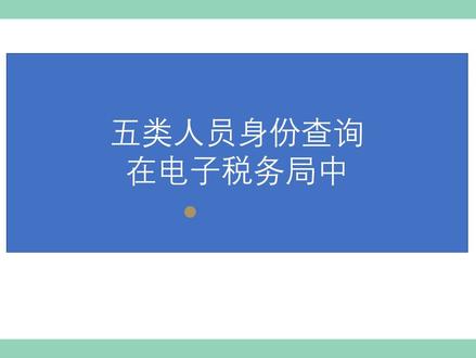“五类人员”身份信息查询-在电子税务局中