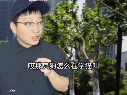 当你遇到了行为怪异的狗时 #内容太过真实 #真实还原