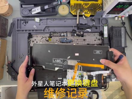 外星人游戏本更换 RGB 键盘全过程 外星人游戏本键盘更换维修
进水、断键、背光失灵修复
断电拆机,小心灯带排线
无损拆解 C 面取出旧键盘
全新键盘对位装配复原
全键 + RGB 灯光完整测试
高端本维修细节不能马虎
#戴尔外星人 #外星人维修 #笔记本换键盘 #游戏本维修 #电脑维修日常 #厦门电脑维修