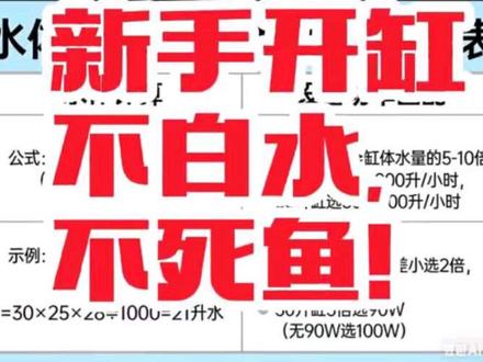 新手开缸零失败全流程!避开90%踩坑点,养鱼养龟养鳌虾都能用!点赞收藏防丢失!#开缸 #鱼缸 #新手养鱼 #水族 #抖加小助手