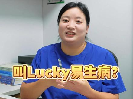 今天聊点玄的,宠物起名也有讲究(仅代表个人意见哈哈哈 #宠物医生 #科学养宠攻略 #宠物起名 #萌宠出道计划