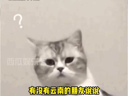云南的朋友这是真的吗 #娱乐评论大赏 #云南 #真的假的