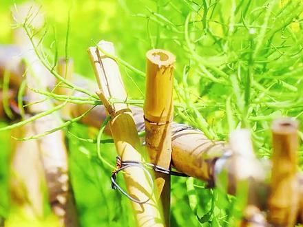 昆明自驾最快1小时左右到达的5个油菜花海! 正值花期!昆明自驾,最快1小时左右就能到达的5个油菜花海!你最想去哪里呢?
#昆明 #有一种春天叫油菜花开 #油菜花 #一片黄色的花海 #赏花