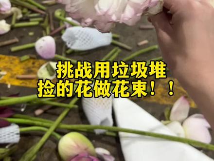 夏天的荷花真是太好看啦!#鲜花 #红果短剧