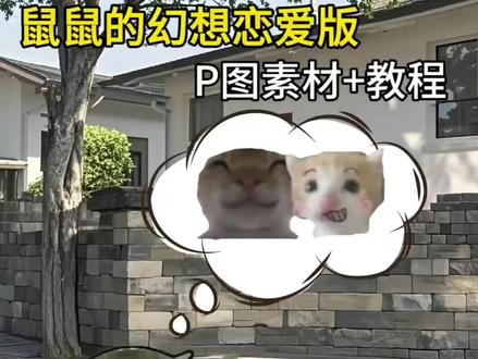 耄耋的幻想P图教程来啦 #醒图焚决的神 #醒门永存 #人类对醒图的开发不足百分之一 #鼠鼠的幻想 #耄耋