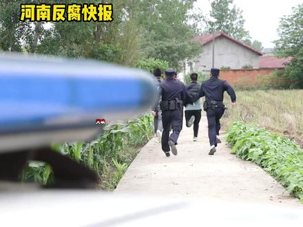 河南证监局原党委委员、副局长楚天慧被双开并移送司法了 #河南 #河南dou知道 #我的观影报告 #反腐倡廉 #同城热点