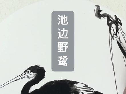 池
边
野
鹭——水墨写意。#中国画 #画家娄建国 #零基础学国画 #跟着画三遍 #你也能学会 #娄建国导师工作室