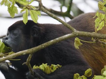 金正大:被资金抬上天的“沉默羔羊” #抖音精选 #干货分享 #知识分享 #热点