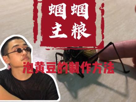 蝈蝈的日常喂食主粮,泡黄豆的制作,保存以及投喂方法全记录