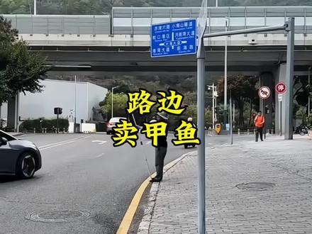 你有没有遇到过这种路边卖甲鱼的大爷?#路边卖甲鱼