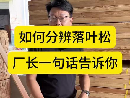 如何分辨落叶松#家具 #家居 #工厂实拍视频