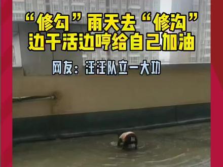 小狗为什么要叫“修勾”?原来它真的会“修沟”!#萌宠出道计划