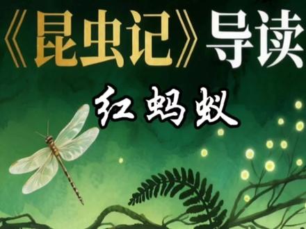 八下语文必读书目《昆虫记》导读16:红蚂蚁