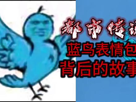 《蓝鸟表情包》背后的故事 #白天刷不到晚上逃不掉系列 #恐怖 #恐怖故事 #我鸟都不鸟你 #睡前故事