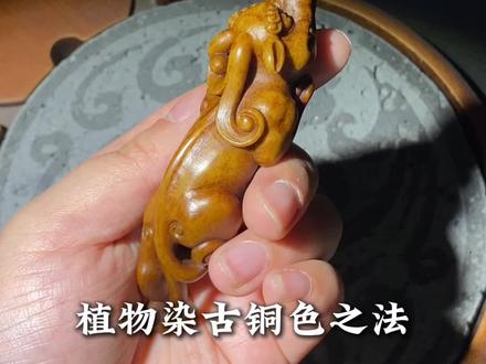 植物染古铜色之法#鹿角根付 #文言文 #夜叉五倍子#古法植物染 #指南