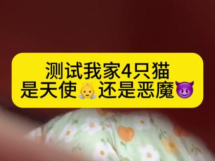 离异单亲妈妈带4娃,第一次玩抖音,试试这个特效😊 #萌宠 #铲屎官日常 #猫咪的日常