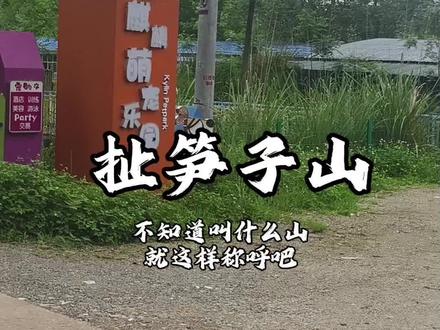 你们要的扯笋子山攻略来了,视频是两天前去拍的,今天才有空做好,不知道还有没有笋子,感兴趣就去走一下#爬山#打野#扯笋子#笋子