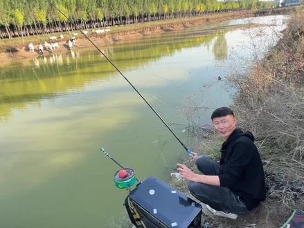 野钓实战带钩调漂法,给口清晰顿口有力,水下状态展示 #户外钓鱼技巧 #钓鱼技巧和方法野钓 #调漂教程