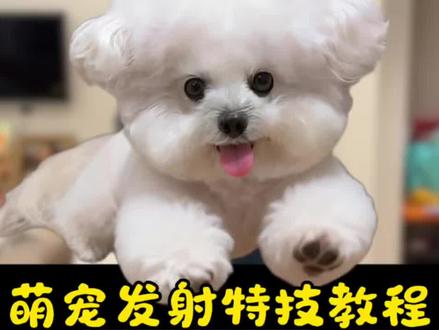 来了来了,最近超火的萌宠发射特技教程来了,狗狗扔出屏幕特效 小狗飞来咯 来咯,狗狗冲出屏幕 萌娃发射特技 宠物发射特技 小孩扔出屏幕特效教程来了 小孩扔出屏幕特效 Ai接孩转场模版 生孩子就是拿来玩儿的
沉浸式带娃 把娃当“玩具”的快乐谁懂啊
乡村小院里的带娃乐趣,这娃被玩得明明白白
生娃不玩岂不可惜?看我把人类幼崽玩出花
ai接娃特效教程 孩子起飞特效 孩子飞起来了 生孩子就是拿来玩儿的 ai接娃特效 扔孩子起飞 ai接孩转场 ai接孩转场特效教程 孩子的搞笑瞬间 扔孩子特效教程 把小孩扔出去特效 萌娃发射特技 扔孩子冲出屏幕 扔孩子 别把孩子真扔了 人类幼崽 带娃日常 亲子互动 剪映 萌娃瞬间 狗狗飞起特效 狗狗冲出屏幕 #剪映 #萌宠发射特技 #冲出屏幕亲亲转场 冲出屏幕特技 #萌娃发射特技 #狗狗冲出屏幕 比熊 拉布拉多 柯基