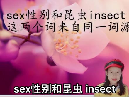 英语词根词缀词汇讲解之sex和insect包含的词根构成的常见词。#学英语 #雅思 #英语没那么难 #考研英语 #每日英语