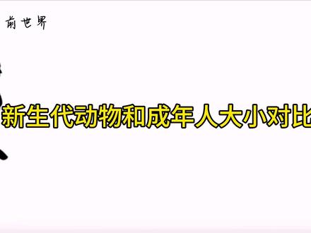 新生代动物和成年人大小对比#动物科普
