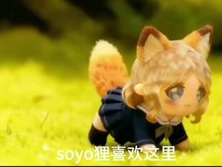 我彻底改行了,做soyo狸了,但是略(