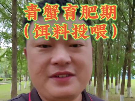 青蟹育肥关键期,饵料投喂很关键#水产养殖 #青蟹 #小辛水产饲料