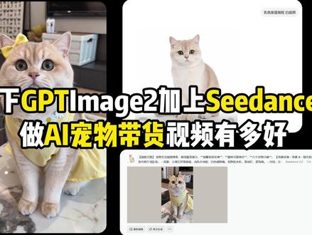 AI宠物带货视频,用GPT-image2加上Seedance效果炸裂#AI宠物 #AI宠物带货 #AI带货 #gptimage2
