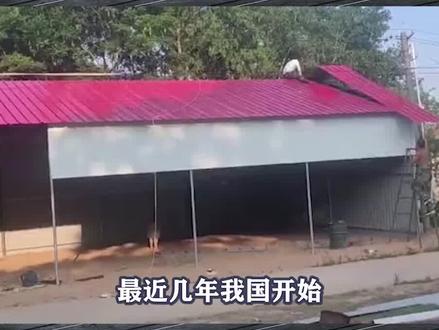 农村盛行的彩钢瓦房,为何要强制性拆除?彩钢瓦究竟有什么危害? #涨知识