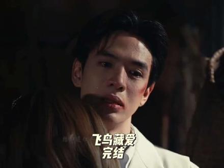 泰剧《飞鸟藏爱》完结