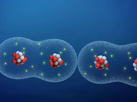 分子间的作用力和氢键 #范德华力 #极性分子 #生物化学 #涨知识 #抖进科学