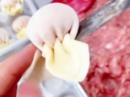 馄饨十二种包法#美食技巧 #美食 #动手自己做美食仪式感满满 #馄饨的包法 @抖音小助手