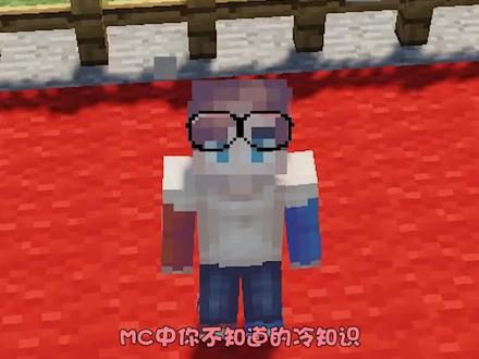 #摸摸鱼 #我的世界 @摸摸鱼 MC中的冷知识