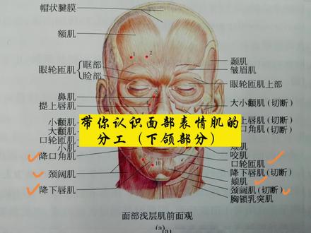 面瘫的治疗你要了解的细节