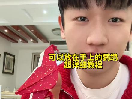 可以放在手上的鹦鹉折纸超详细教程 #手工折纸 #手工diy #亲子手工 #手工教程