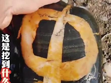 盘点挖到的几十种宝贝大合集,看看到底值多少钱?#寻宝 #石油 #科普 #矿石