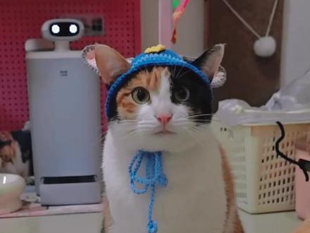 一只猫如何收割百万点赞?别管了,真棒!#萝卜纸巾猫为啥火了 #萝卜纸巾猫咪模仿挑战 #萝卜纸巾猫咪逐渐抽象 #萝卜纸巾猫咪变装挑战 #情侣版萝卜纸巾挑战