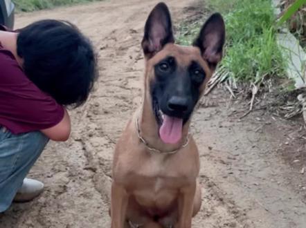 里面的商品超级划算,我还花了1.99买了一大包餐巾纸,我已经在淘宝薅了很多羊毛了,淘宝秒杀价格真的很香!经常来淘宝秒杀看看,天天薅好价商品
#淘宝秒杀省钱攻略 #淘好货 #萌宠出道计划 #神奇动物在抖音 #萌宠日常记录