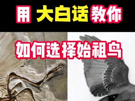 #始祖鸟 #冲锋衣 始祖鸟我选BETA LT,你觉得哪个颜色好看?