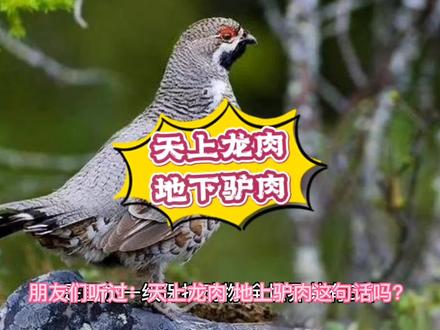 #中国民间故事 天上龙肉,地下驴肉