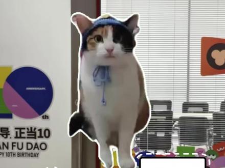 萝卜纸巾猫逐渐闯入招聘赛道 小猫 真棒!
进猿宝 真棒!!
候选人 真棒!!!
#招聘#萝卜纸巾 #猿辅导 #小猿 #真棒