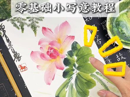 刷到就是赚到 #国画荷花 #手绘荷花 #写意花卉 #国画花画法