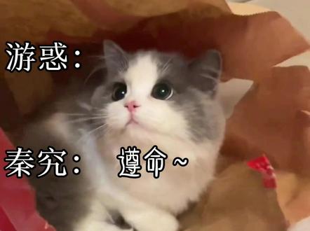 游惑:你高 你拿 秦究:偷懒耍赖可不是这样^_^ #我要上热门 @DOU+小助手 #全球高考 #究惑 #广播剧