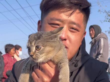 每天认识一种猫 第十八集:雀猫#雀猫