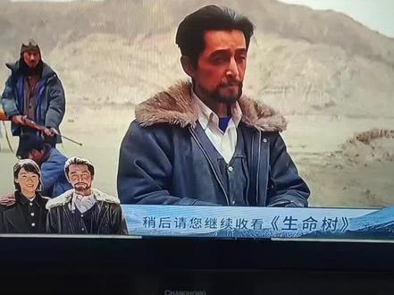 打开电视📺追剧了#杨紫#胡歌#生命树