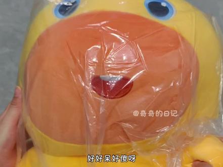 45cm呆呆噜噜真实开箱日记#萌物 #毛绒玩具 #水豚噜噜 #水豚宝宝 #开箱