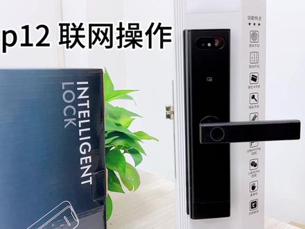 木门人脸智能锁联网操作(涂鸦智能)