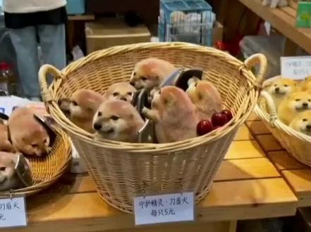 小刀盾只要5块钱?#我的刀盾 #ai #户外 #抽象 #伪纪录片