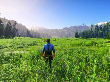 #荒野大镖客2 最新画质设置,可以试一试#steam游戏