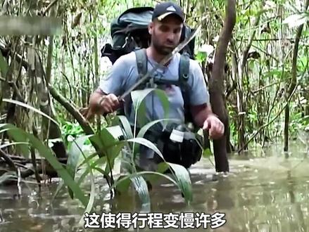 德爷徒步亚马逊雨林,创下世界吉尼斯纪录#我的观影报告 #荒野求生